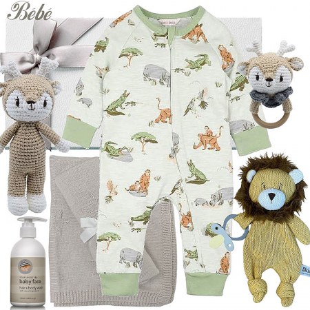 Bébé Spring Baby Boy Hamper