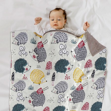 Echidna Baby Blanket