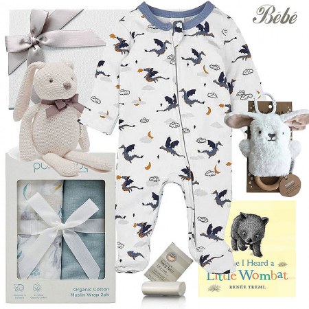 Bébé Dragon Baby Boy Hamper