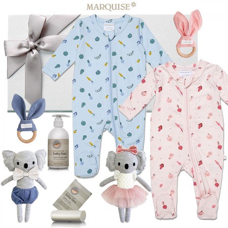 Twin Baby Gift Baskets Online | My Baby Gifts