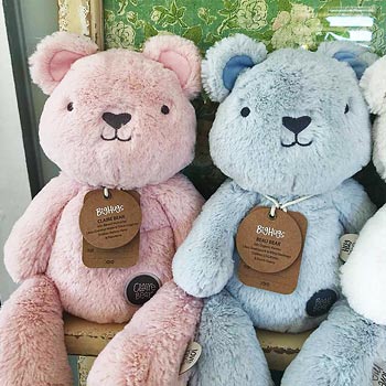 Claire Bear or Beau Bear