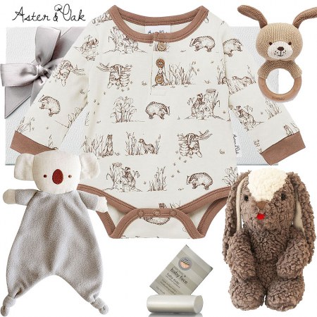 Aster & Oak Badger Baby Hamper