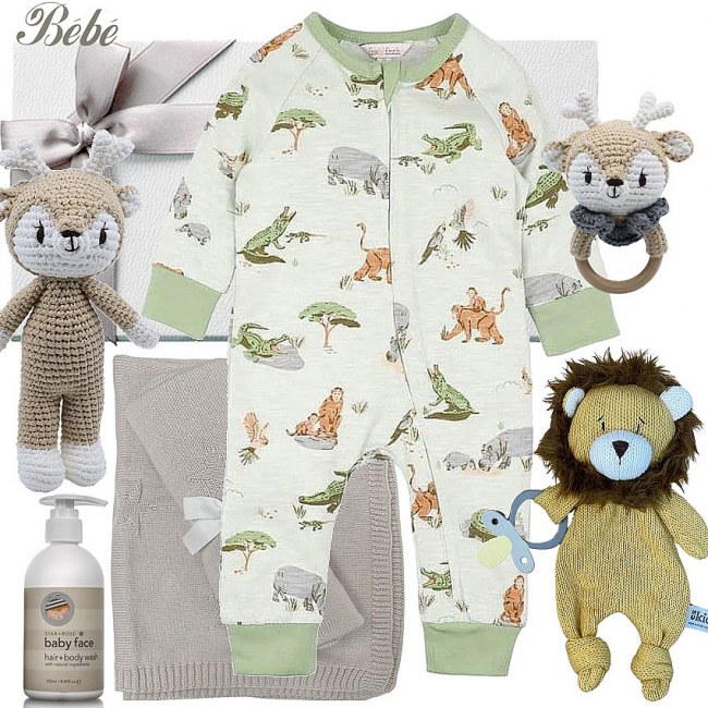 Bébé Spring Baby Boy Hamper