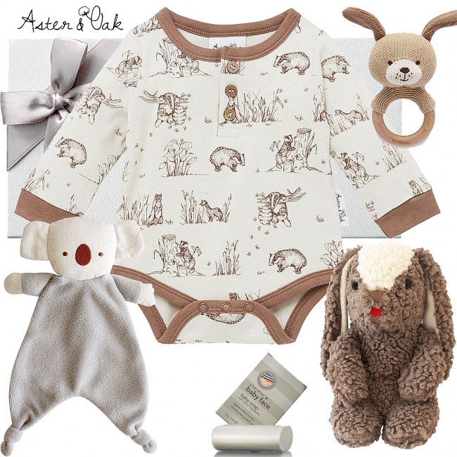 Aster & Oak Badger Baby Hamper