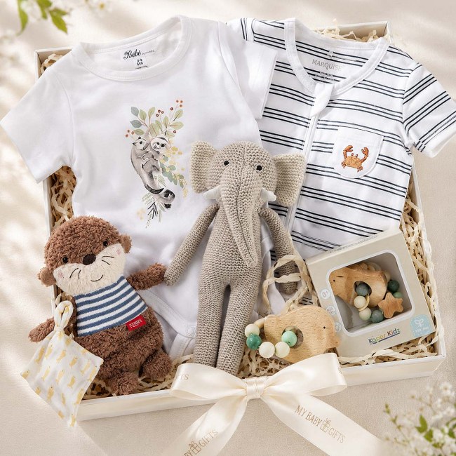 Hamper for a Newborn Baby Boy