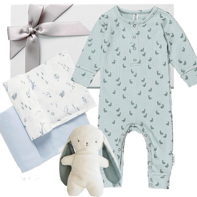 Huxbaby Newborn Gift Set