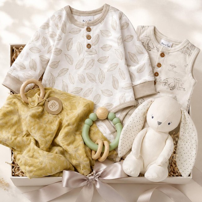 Aster & Oak Pastel Baby Gift Set