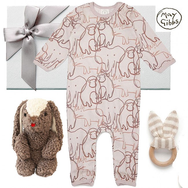 Puppy Newborn Gift Box