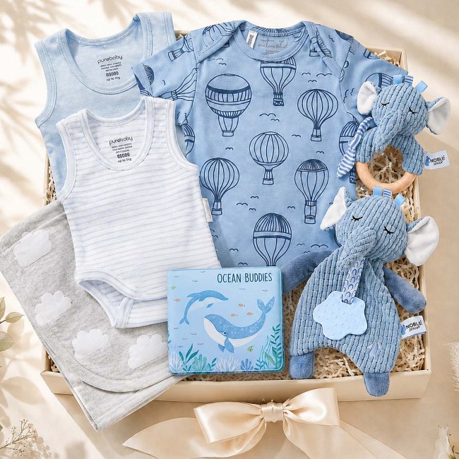 Seasonal Baby Boy Gift Set