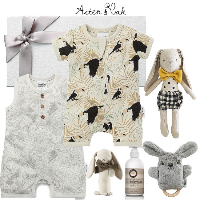 Aster & Oak Deluxe Baby Boy Hamper
