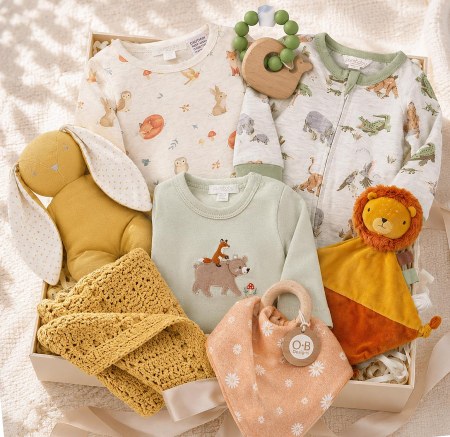 Deluxe Baby Boy Gift Hamper